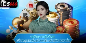 Thùng Phá Sảnh - Sức Mạnh Và Bí Quyết Sở Hữu Tay Bài
